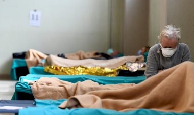 Italy: Pandemic, Crisis and EU -Italo Ferrini