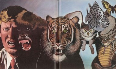 Is Human Violent by Nature?