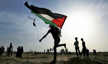 Resisting Palestine and Crocodile Tears -Gökçe Şentürk