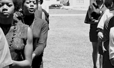 Black Panthers, Organization  and Power