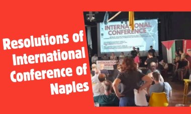 Resolutions of International Conference of Naples