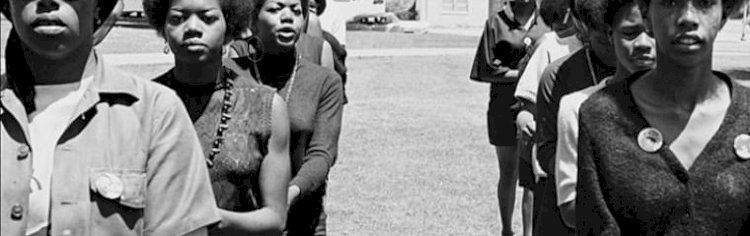 Black Panthers, Organization and Power